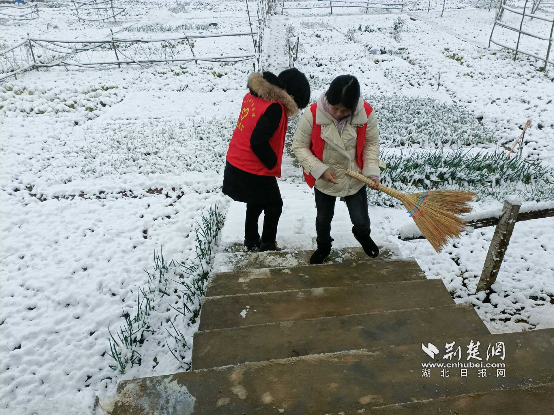 微信圖片_20220208170531.png.png