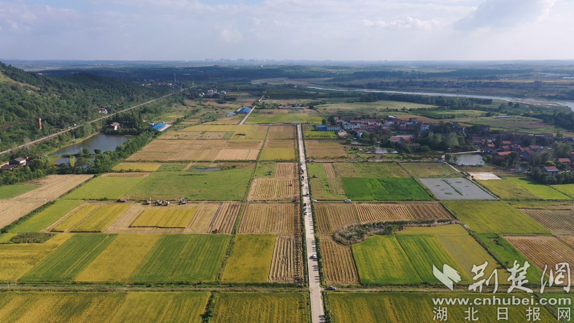 DJI_0006.MP4_20221209_110726.583.jpg.jpg