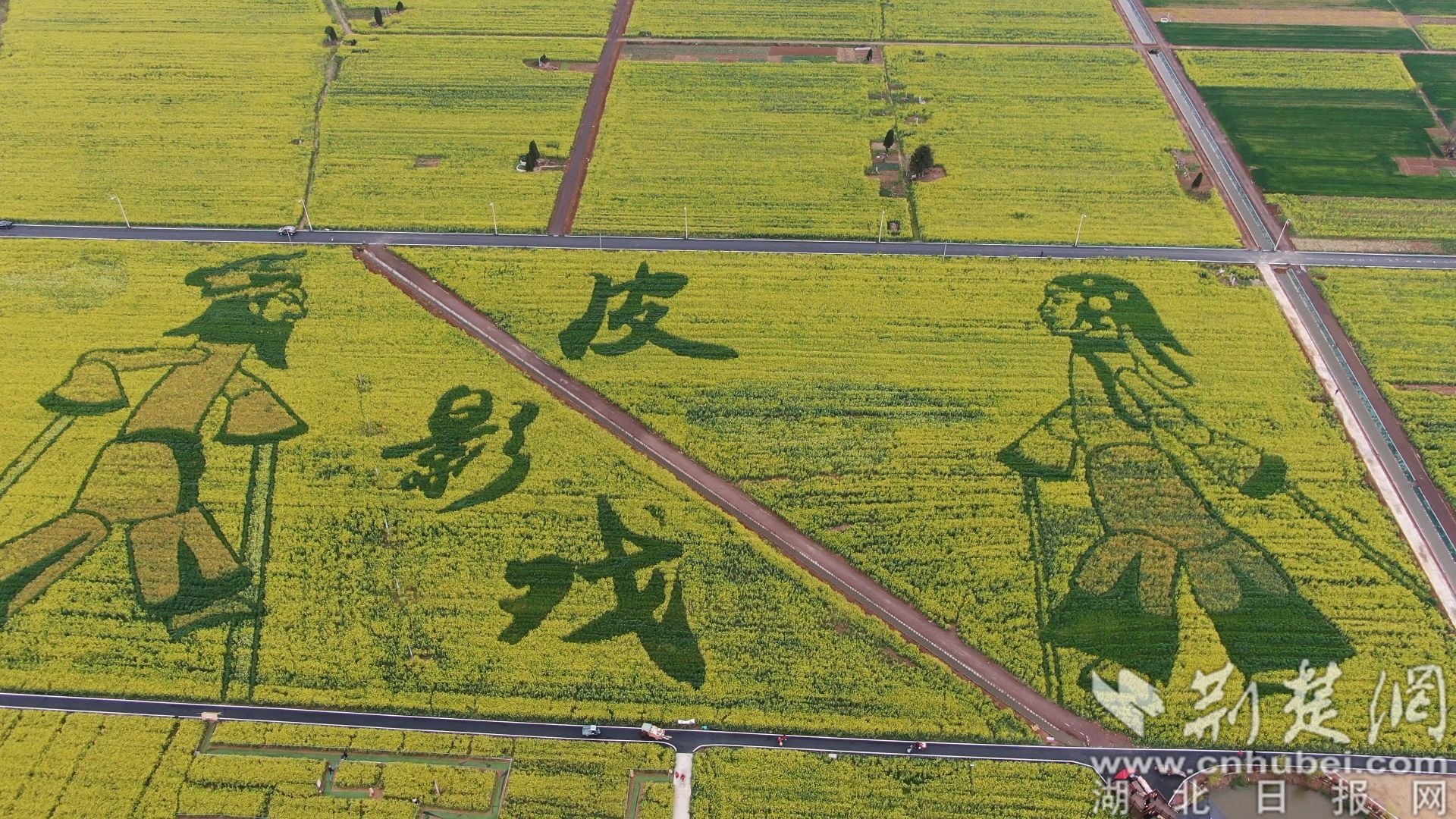 DJI_0193.MP4_20230317_185355.626.jpg.jpg