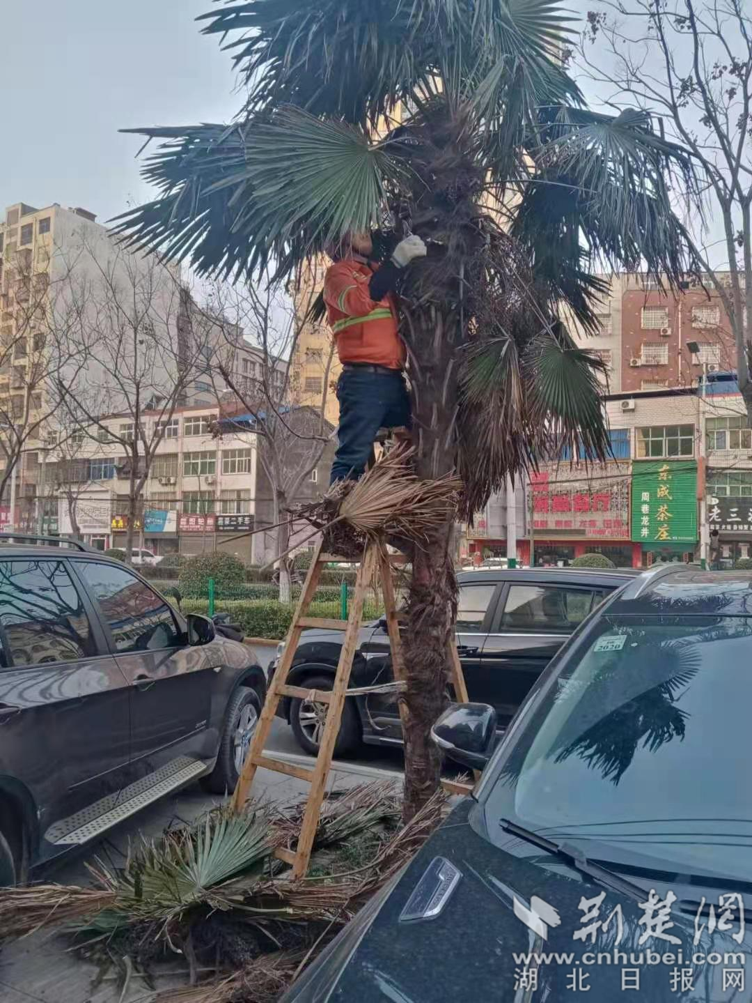 圖片2_副本63.png.png