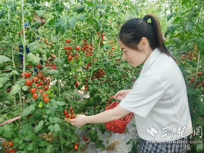 圖片 5.jpg