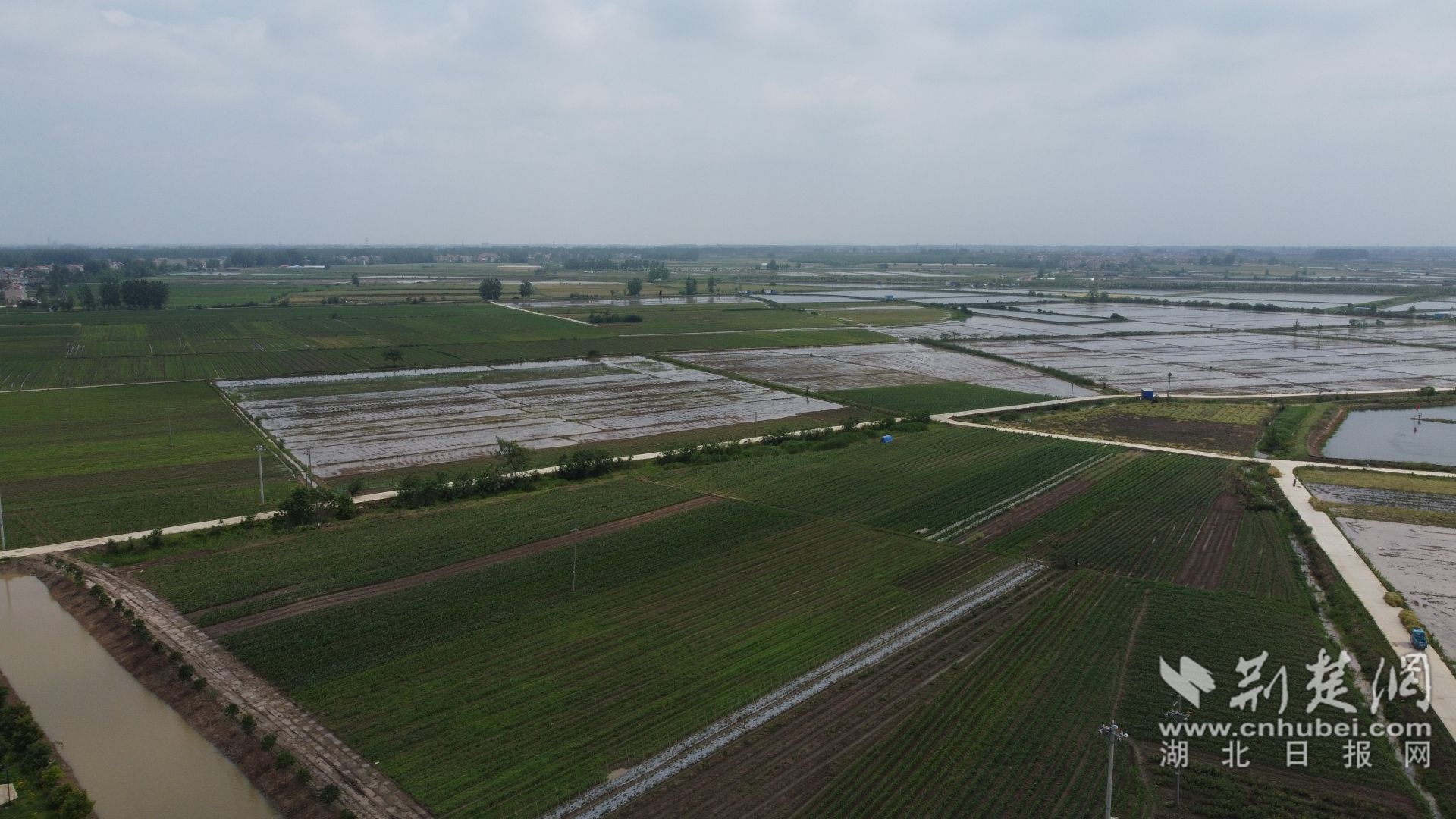 DJI_0346.JPG.JPG