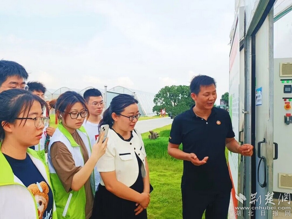 圖為大學(xué)生志愿者們參觀學(xué)習(xí)番茄公社 照片來源：應(yīng)城市團市委.jpg