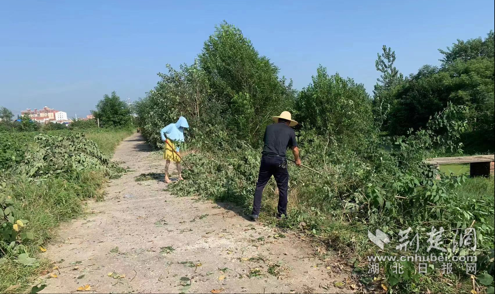 清障除雜忙不停  全力抗旱保民生.png.png