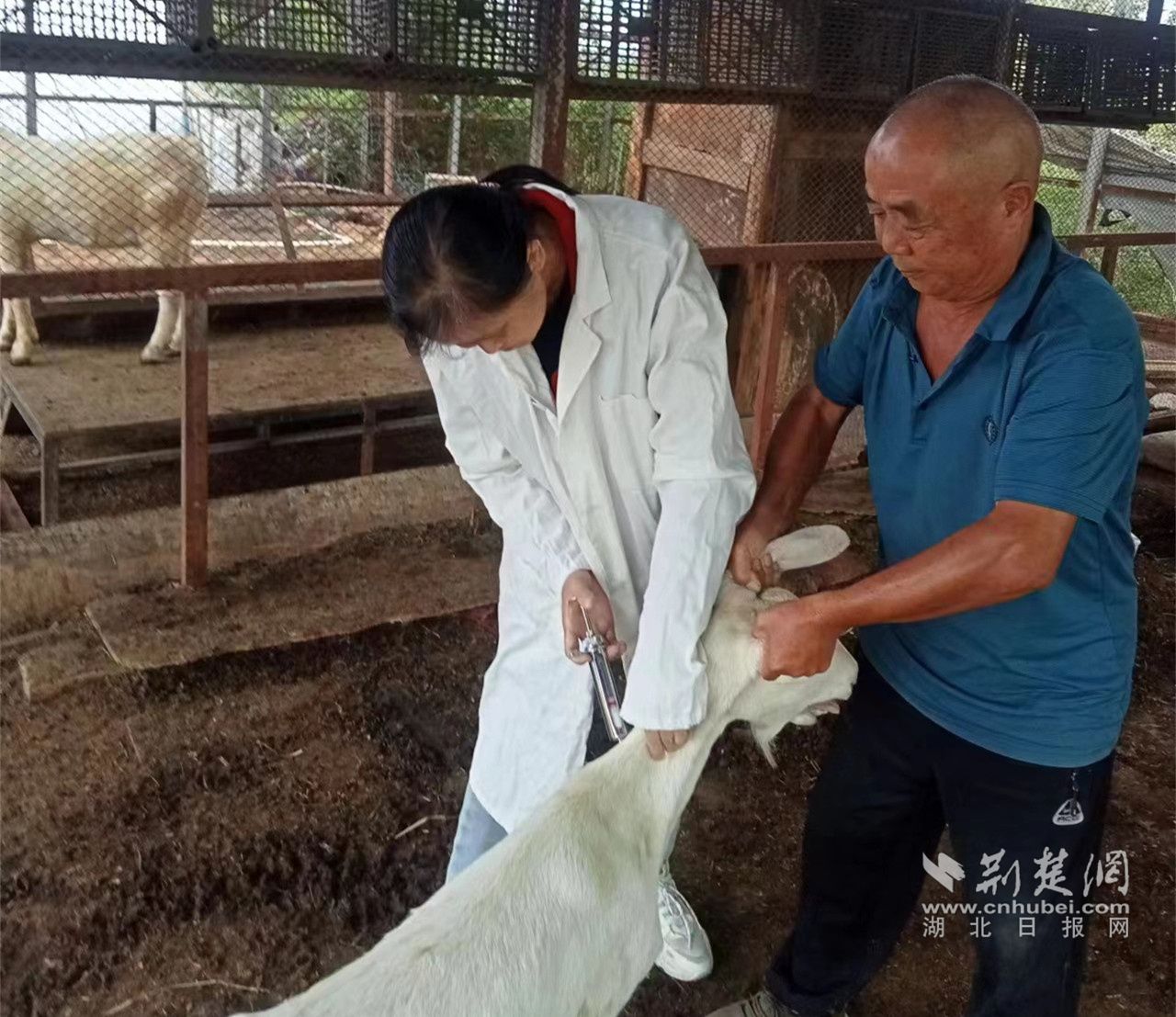微信圖片_20231016161918_副本.jpg.jpg