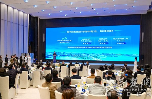 B  2025年長(zhǎng)三角鄂州企業(yè)家招商、返鄉(xiāng)創(chuàng)業(yè)政策推介現(xiàn)場(chǎng)。1(1).jpg.jpg