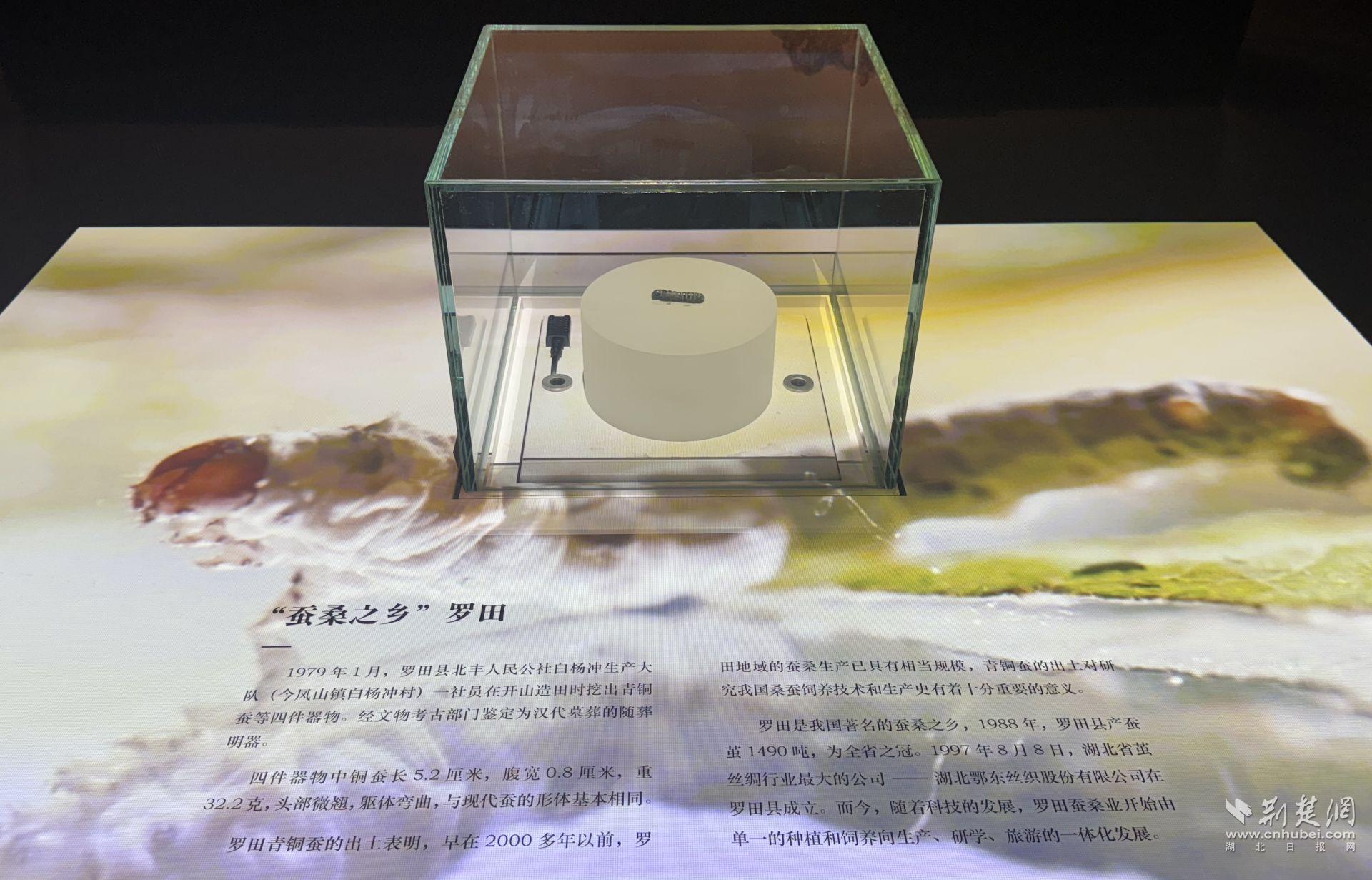 微信圖片_20250606185549.jpg.jpg